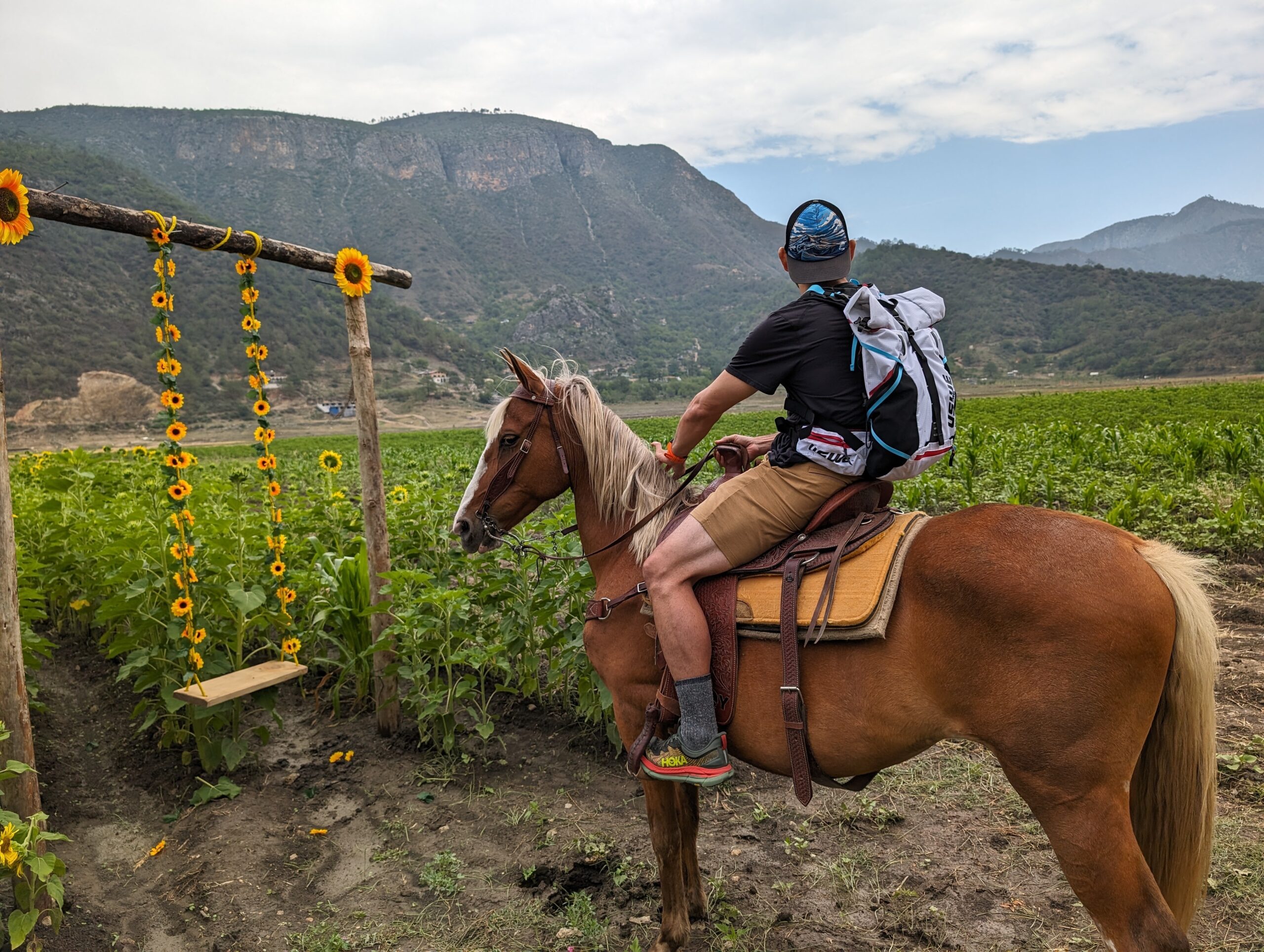 Montar a caballo